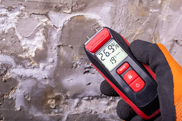 Best Commercial Mold Remediation in Lodi, OH
