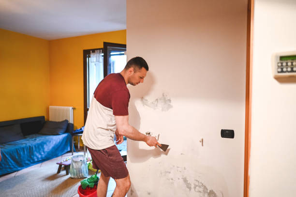 Best Basement Mold Remediation in Lodi, OH